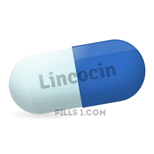 Nakup_Lincocin_online